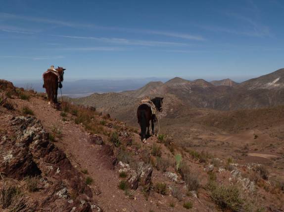 Cavalos aguardam enquanto seus clientes sobem o El Quemado, montanha sagrada próxima de Real de Catorze, Pueblo Mágico ao norte do México
